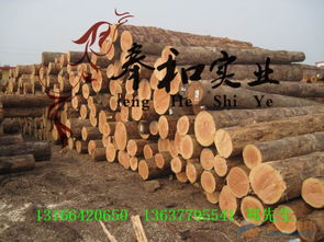 专业供应进口优质一级樟子松工程木方板材