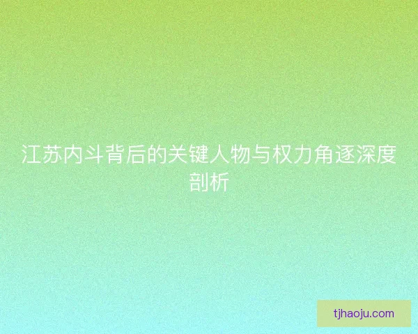 江苏内斗背后的关键人物与权力角逐深度剖析