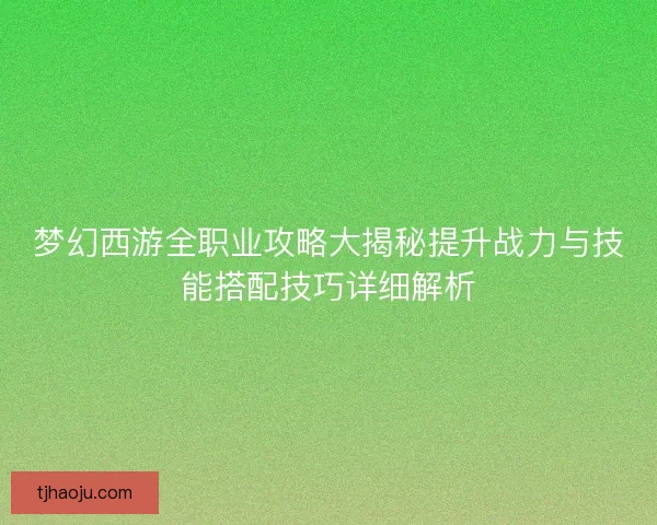 梦幻西游全职业攻略大揭秘提升战力与技能搭配技巧详细解析