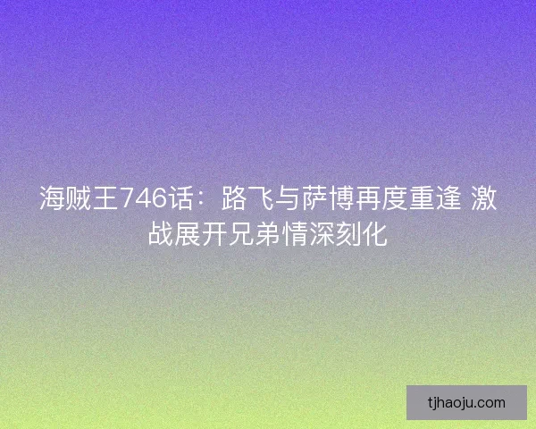 海贼王746话：路飞与萨博再度重逢 激战展开兄弟情深刻化