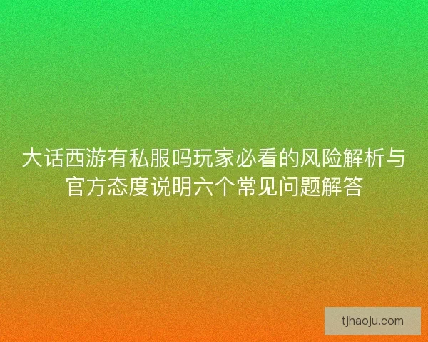 大话西游有私服吗玩家必看的风险解析与官方态度说明六个常见问题解答