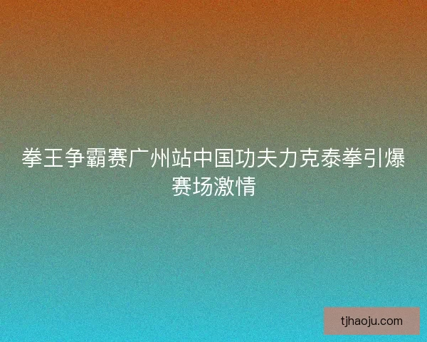 拳王争霸赛广州站中国功夫力克泰拳引爆赛场激情
