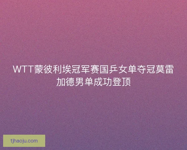 WTT蒙彼利埃冠军赛国乒女单夺冠莫雷加德男单成功登顶
