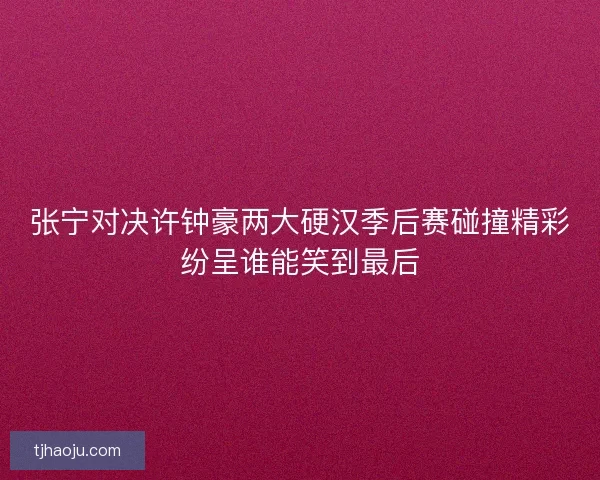 张宁对决许钟豪两大硬汉季后赛碰撞精彩纷呈谁能笑到最后