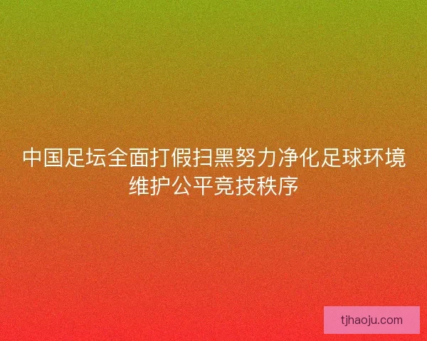 中国足坛全面打假扫黑努力净化足球环境维护公平竞技秩序
